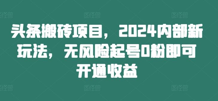 头条搬砖项目，2024内部新玩法，无风险起号0粉即可开通收益-大鱼聊项目