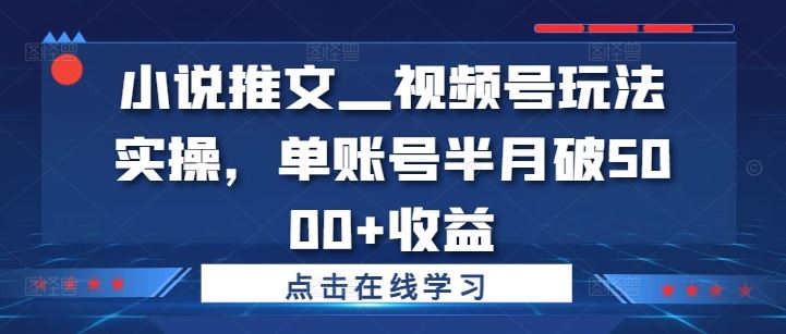 小说推文—视频号玩法实操，单账号半月破5000+收益-大鱼聊项目