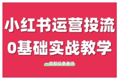 小红书运营投流，小红书广告投放从0到1的实战课，学完即可开始投放-大鱼聊项目