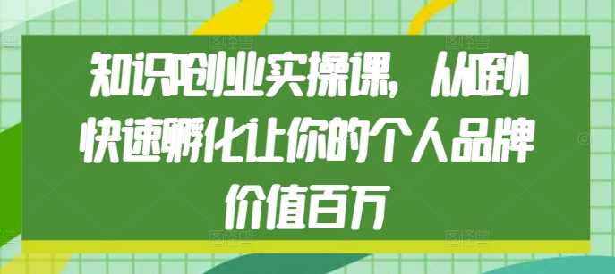 知识IP创业实操课，从0到1快速孵化让你的个人品牌价值百万-大鱼聊项目