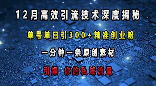 最新高效引流技术深度揭秘 ，单号单日引300+精准创业粉，一分钟一条原创素材，引爆你的私域流量-大鱼聊项目