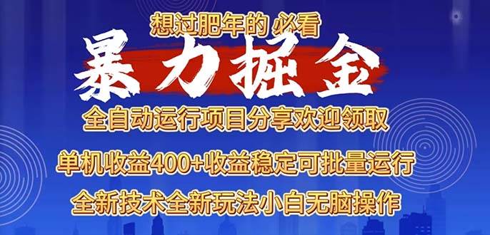 （13675期）2025暴力掘金项目，想过肥年必看！-大鱼聊项目