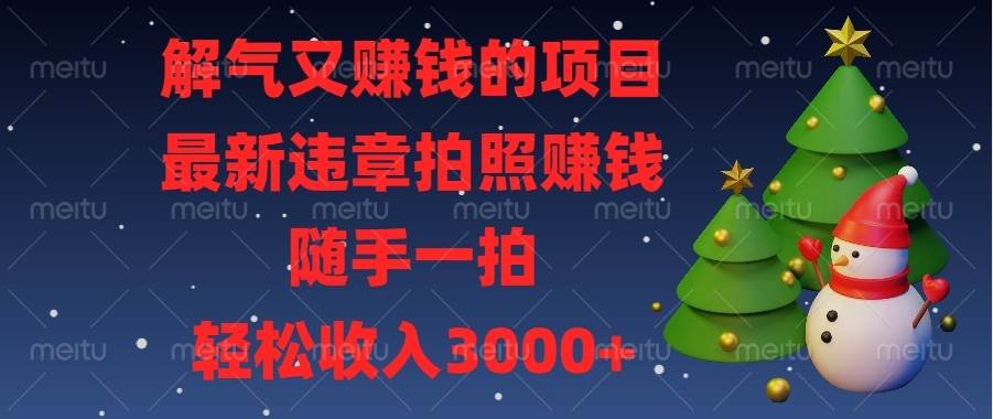 （13686期）解气又赚钱的项目，最新违章拍照赚钱，随手一拍，轻松收入3000+-大鱼聊项目
