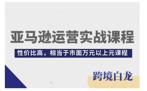 亚马逊运营实战课程，亚马逊从入门到精通，性价比高，相当于市面万元以上元课程-大鱼聊项目