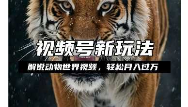 利用动物世界解说视频，赚分成计划收益，轻松月入过W，操作简单【揭秘】-大鱼聊项目