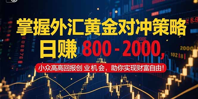 掌握外汇黄金对冲策略，日赚 800 – 2000，小众高回报创业机会，助你实…-大鱼聊项目