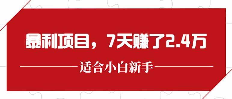 最新暴利项目，每单收益轻松在300以上，7天赚了2.4万-大鱼聊项目