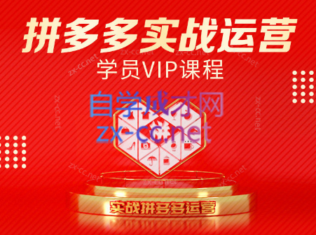 推易电商·拼多多实战运营课(更新2025月)-大鱼聊项目