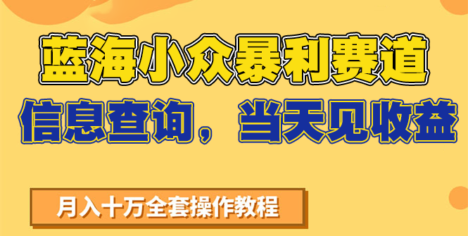 蓝海小众暴利赛道，信息查询，当天见收益，不讲玄学，7天搞了2万+-大鱼聊项目