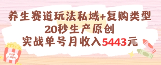 养生赛道玩法私域+复购类型，20秒生产原创实战单号月收入5k+-大鱼聊项目