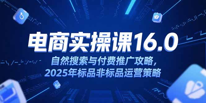 淘宝电商运营课16.0，自然搜索与付费推广攻略，2025年标品非标品运营策略-大鱼聊项目