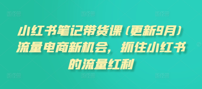 小红书笔记带货课(更新25年6月)流量电商新机会，抓住小红书的流量红利-大鱼聊项目