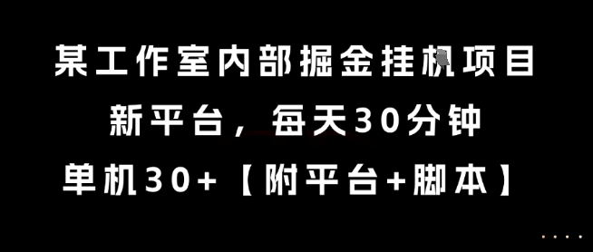 某工作室内部掘金挂G项目，新平台，每天30分钟，单机30+【揭秘】-大鱼聊项目