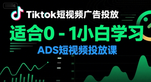 Tiktok短视频广告投放，适合0-1小白学习ADS短视频投放课-大鱼聊项目