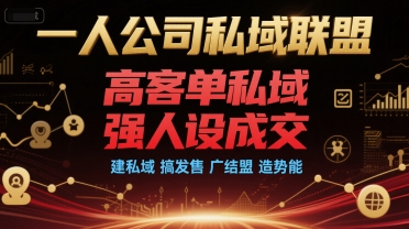 一人公司私域联盟，高客单私域，强人设成交，建私域 搞发售 广结盟 造势能-大鱼聊项目
