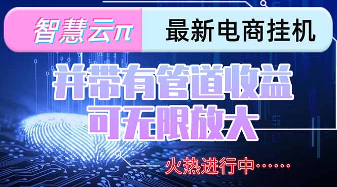智慧云π电脑挂机单机每天收益300—500+ 并带有团队管道收益 可无限放大-大鱼聊项目