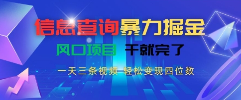 信息查询暴力掘金，一天三条视频，轻松变现四位数，风口项目干就完了【揭秘】-大鱼聊项目