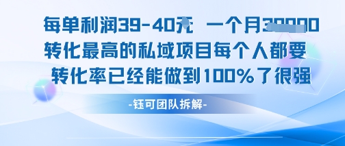 每单利润40一个月7k+转化最高的私域项目，每个人都要的产品转化率已经能做到100%-大鱼聊项目