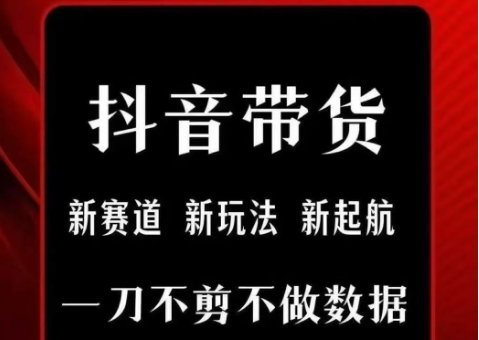 抖音短视频一刀不剪带货，不剪辑，不直播，每天发个视频，等着出单获取带货佣金-大鱼聊项目