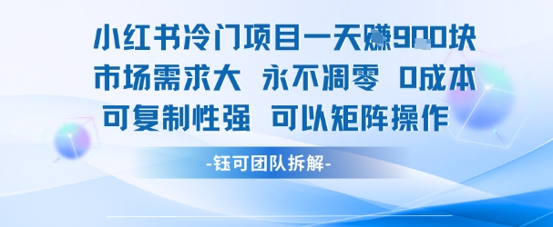 小红书冷门项目一天收益9张，市场需求大，0成本，可复制性强可以矩阵操作-大鱼聊项目
