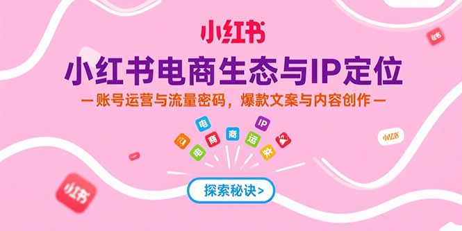 小红书电商生态与IP定位，账号运营与流量密码，爆款文案与内容创作-大鱼聊项目