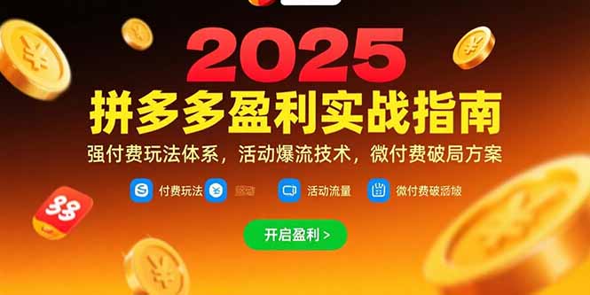 拼多多盈利实战指南，强付费玩法，活动爆流技术，微付费破局方案(更新7月-大鱼聊项目