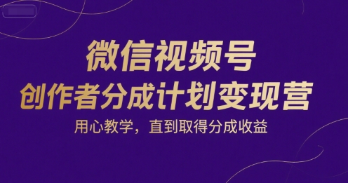 微信视频号创作者分成计划变现营，用心教学，直到取得分成收益-大鱼聊项目