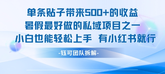 单条贴子带来5张的收益，暑假最好做的私域项目之一，小白也能轻松上手，有小红书就行-大鱼聊项目
