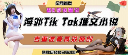 海外tiktok小说推文暴力项目，高停留率，高转化率，上手后一天搞顿饭钱不是问题-大鱼聊项目