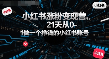 小红书涨粉变现营，21天从0-1做一个挣钱的小红书账号-大鱼聊项目
