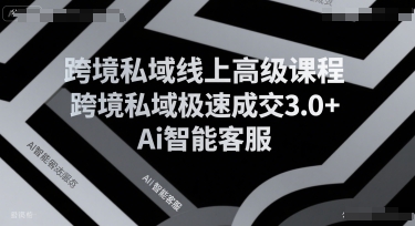 跨境私域线上高级课程，跨境私域极速成交3.0+Ai智能客服-大鱼聊项目