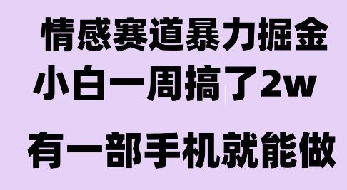 情感暴力掘金项目，新人操作一周挣了2W，长期稳定小白可做【揭秘】-大鱼聊项目