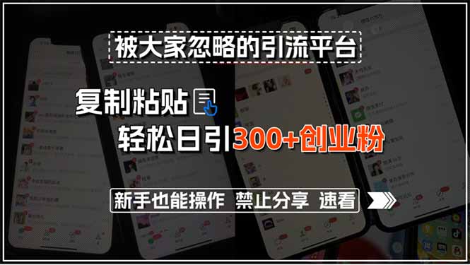被大家忽略的引流平台，复制粘贴轻松日引300+创业粉，新手也能操作，禁…-大鱼聊项目