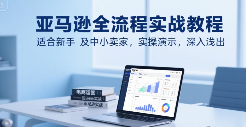 亚马逊全流程实战教程，适合新手及中小卖家，实操演示，深入浅出-大鱼聊项目