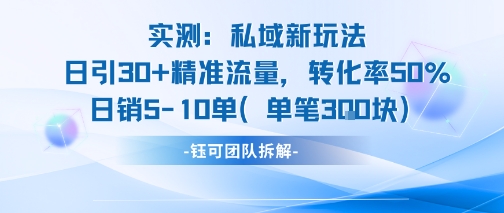 实测私域新玩法日引30加精准流量转化率50%日销5-10单每笔3张-大鱼聊项目
