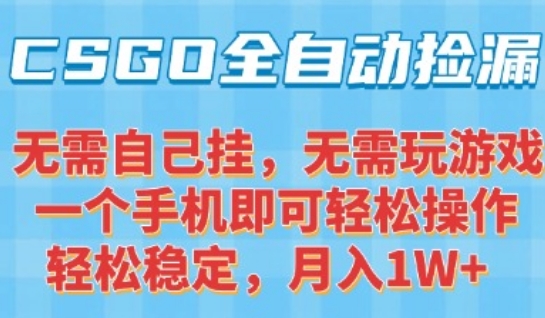 CSGO自动捡漏项目，最新独家玩法，一个手机可操作，新手小白轻松月入1W+，操作简单易上手【揭秘】-大鱼聊项目