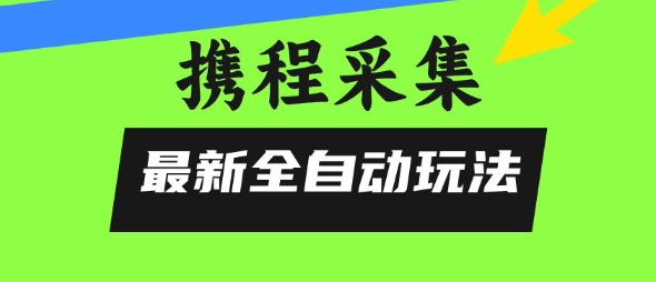 携程信息采集全自动玩法，0风控，无脑开干【揭秘】-大鱼聊项目