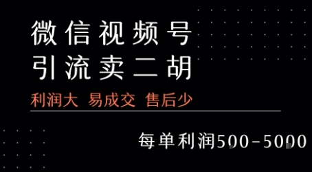 视频号卖二胡教程，利润大 易成交 售后少，一单利润5张+-大鱼聊项目