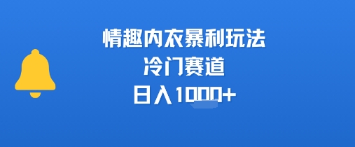 情趣内衣暴利玩法，冷门赛道，日入1k+-大鱼聊项目