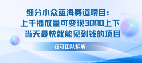 小众蓝海赛道项目：当天变现1k+适合新手操作 +适合长期玩-大鱼聊项目