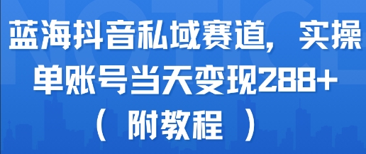蓝海抖音私域赛道，实操单账号当天变现288+(附教程)-大鱼聊项目