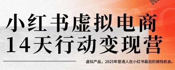 小红书虚拟电商14天变现训练营，虚拟产品，2025年普通人在小红书最后的搞钱机会-大鱼聊项目