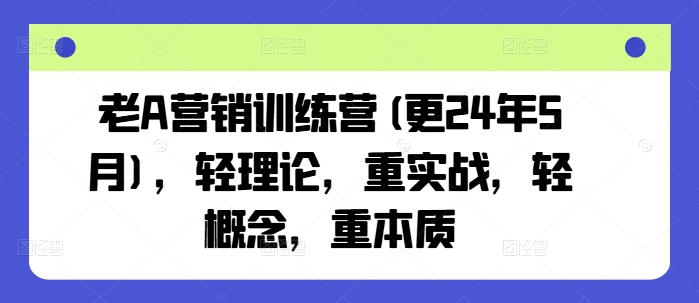 老A营销训练营(更25年7月)，轻理论，重实战，轻概念，重本质-大鱼聊项目