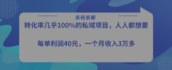 转化率最高的私域项目，每单利润40-50米，月入过1w-大鱼聊项目