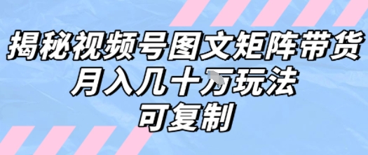 解密视频号图文矩阵带货，月入几个W的打法，可复制-大鱼聊项目