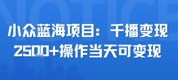 小众蓝海项目，千播变现2.5k+操作当天可变现-大鱼聊项目