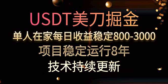 USDT美刀掘金，单人每日收益800-3000，稳定运行8年-大鱼聊项目