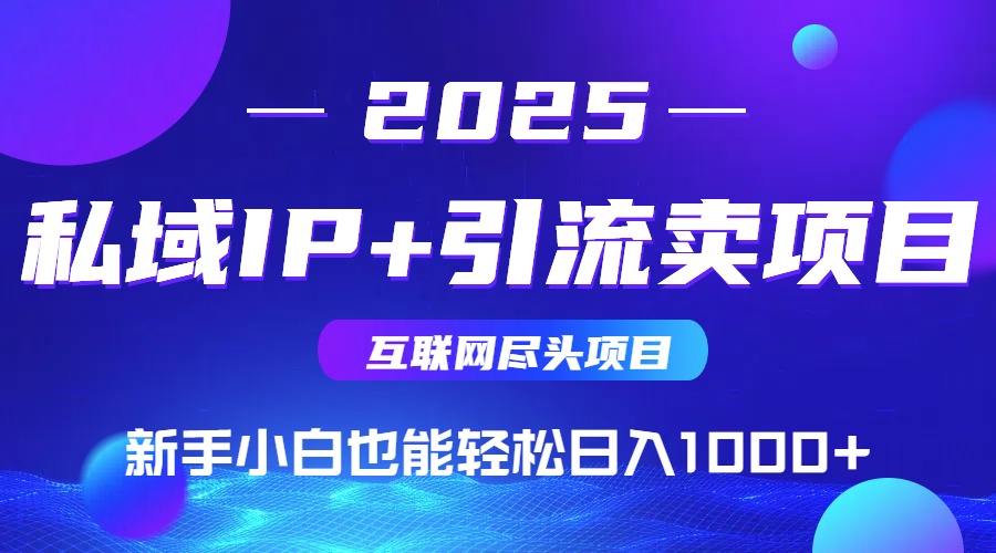 2025网创尽头项目，私域IP+引流，新手小白也能在家日入1000+-大鱼聊项目