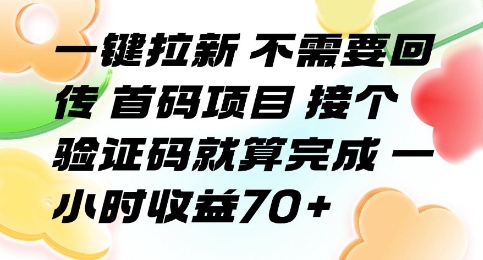 一键拉新 不需要回传 首码项目 接个验证码就算完成 一小时收益70+【揭秘】-大鱼聊项目