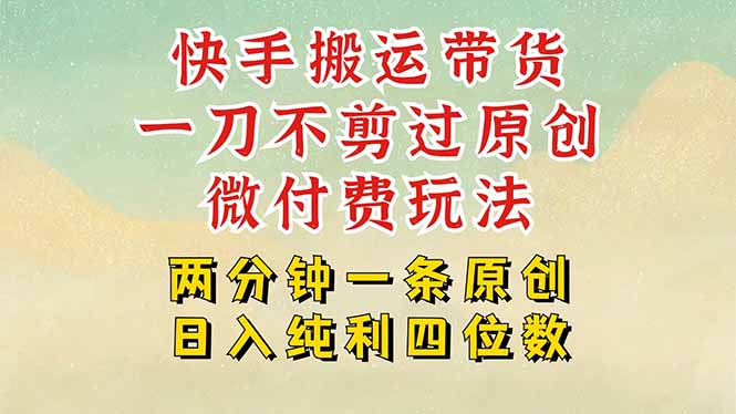 快手黑科技搬运带货，一刀不剪过原创，微付费投流玩法，轻松日入四位数…-大鱼聊项目